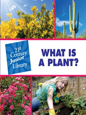 cover image of What is a Plant?